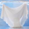 Women's Seamless Ice Silk Underwear Hipster No Show Invisible Panties Ice Silk Stretch Underwear Bikini Underwear Panty Briefs
