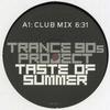 12-дюймовая пластинка TRANCE 90S PROJECT - Taste Of Summer 0656821 FREIZEIT 2003 Германия Танцевальная и Электронная Б/У