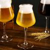 18oz Clear Beer Drinking Glass For Bar IPA Professional TEKU Glassware Large Highball Glass Goblet Tall Glass Cup Beer Mug Glass