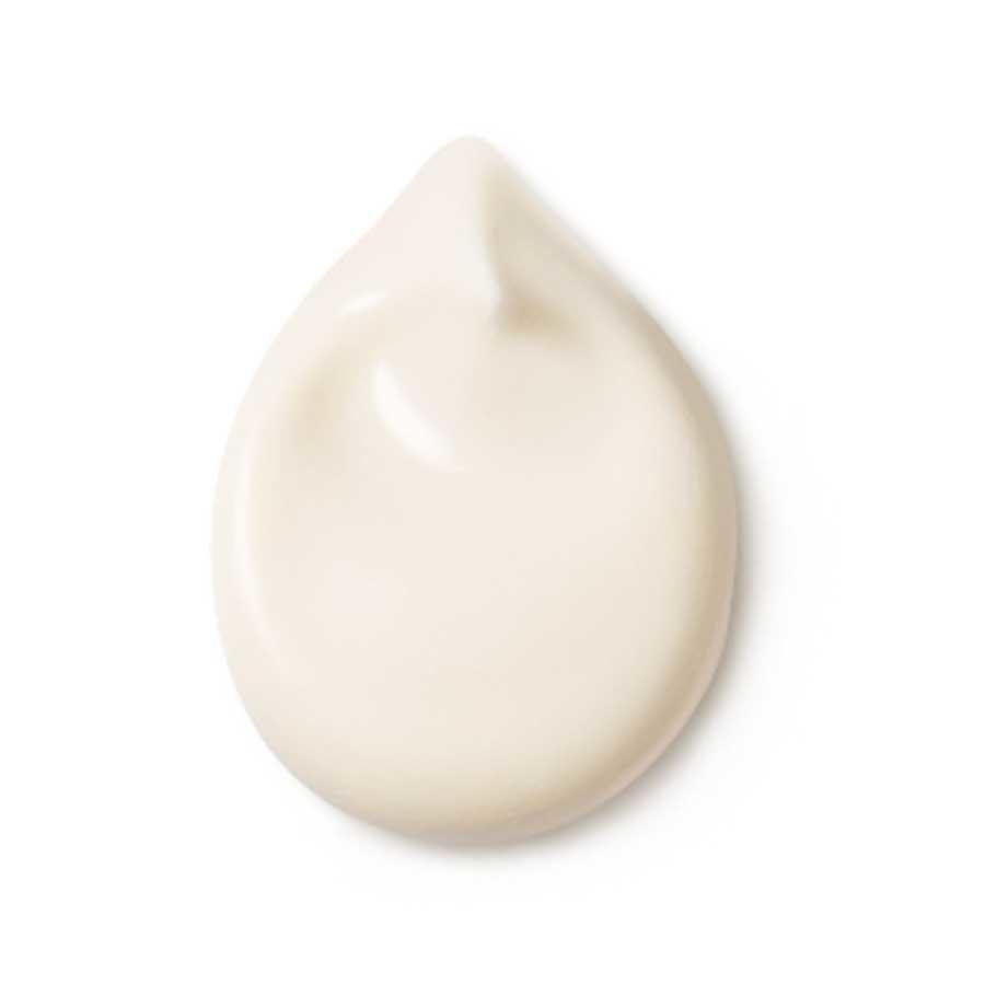Dr. Hauschka Rose Day Cream Light Day Cream 30 ml rose