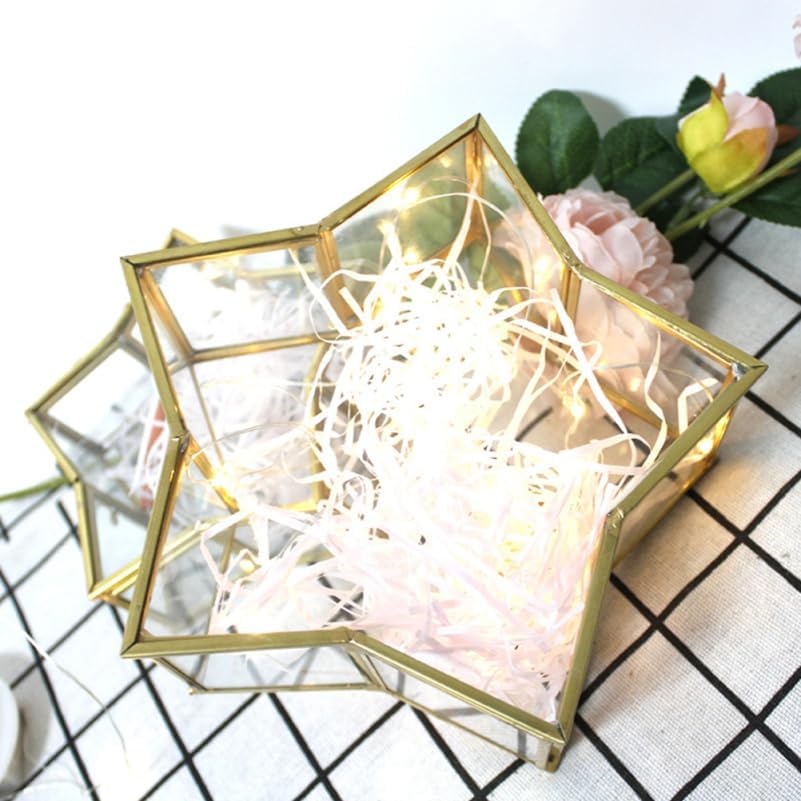 Five-Pointed Star Bottle Coin Jar Star Keepsake Boxes Mini Small Wishing Bottle Glass Jar Ideal Corsage Box for Preserved Flowers Origami Stars