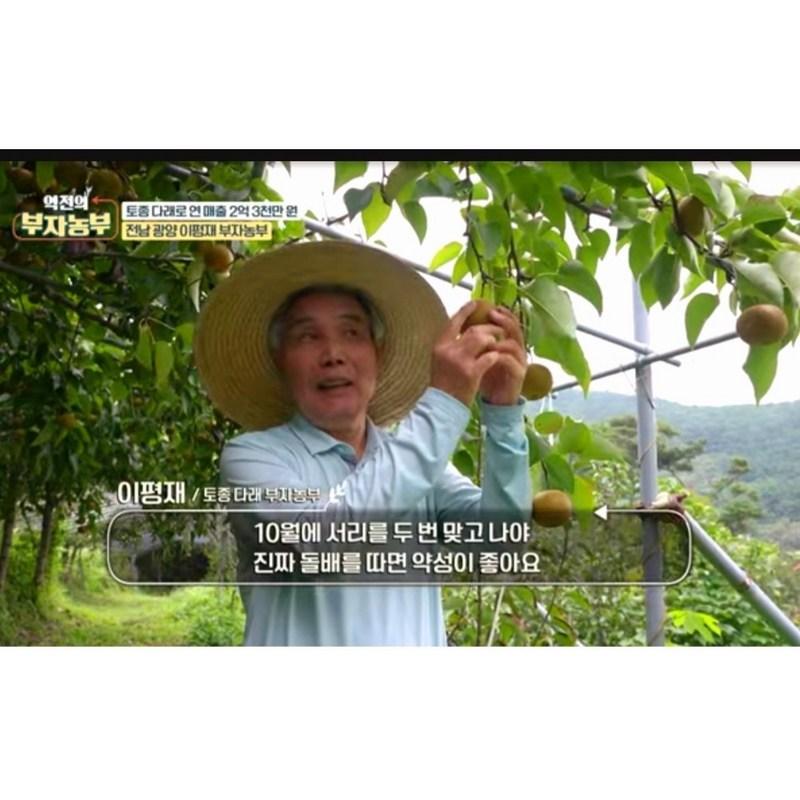 Boojeo Farm Chamdol Pear Fermented Liquid 3 Years Aged Direct Delivery from Farm