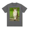 Cat Owl Funny Meowl Meme Brainrot T-shirts Men's Women Clothing Fashion Harajuku Short Sleeves T-shirt Cotton Oversized T Shirts