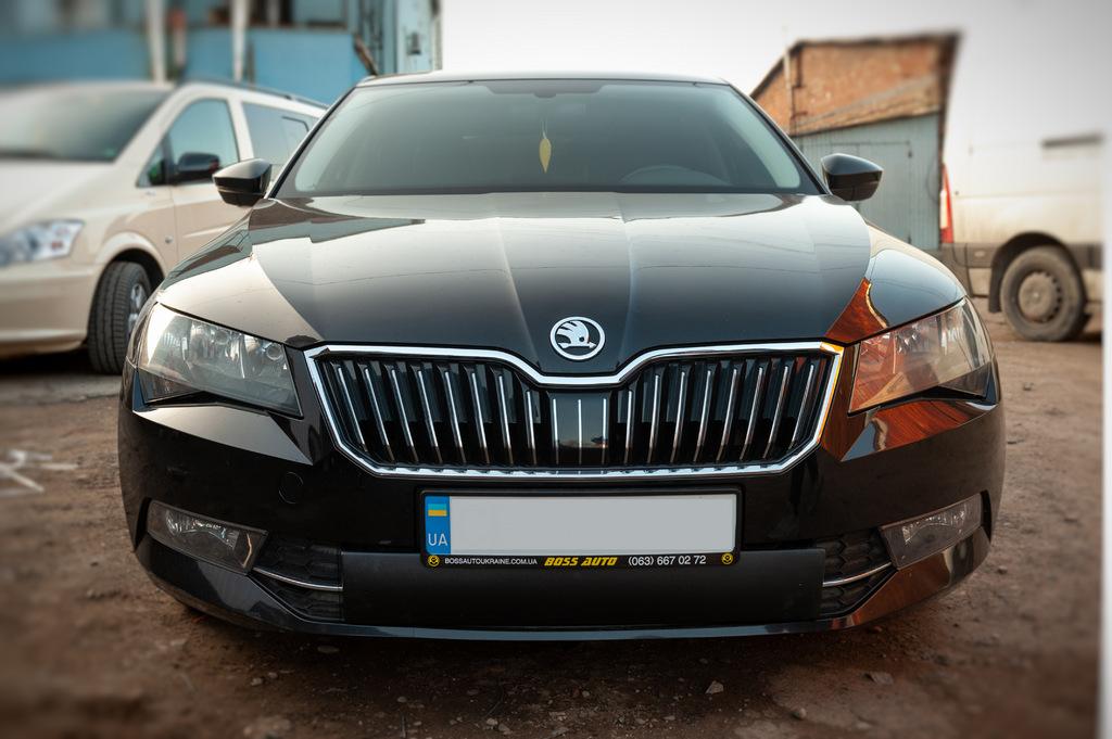 Зимняя накладка на решетку (нижняя) Глянцевая для Skoda Superb 2015-2024 гг