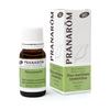 PRANAROM - Huile Essentielle De Pin Maritime Bio 10 Ml De Huile Essentielle
