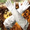 1 пара безопасных профессиональных перчаток для пчеловодства, холщовые перчатки с овечьей кожей, защищающие от укусов пчел, для пчеловодства, защита инструментов для пчеловодства