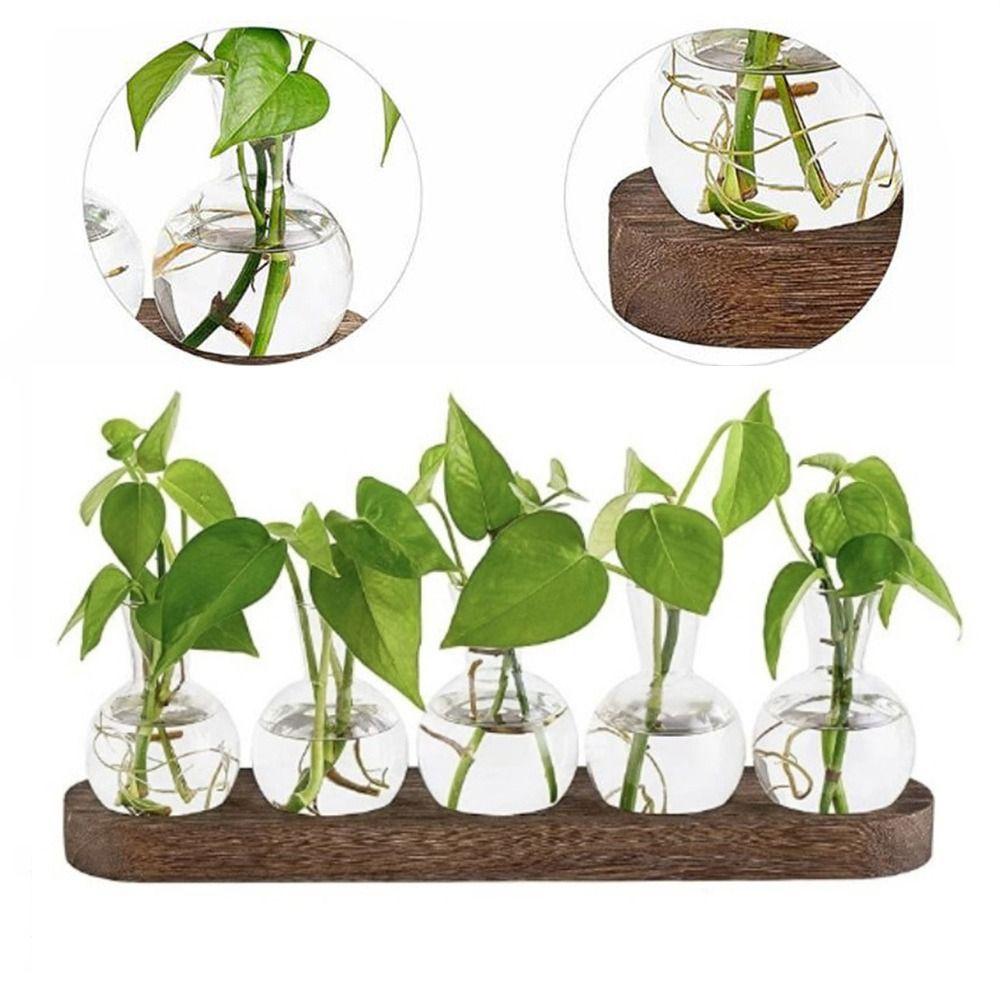 with Wooden Tray Hydroponics Glass Vase Bud Vases Bulb Vase  Home Decoration