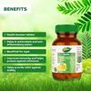 Dabur Таблетка амлы - Усилитель здоровья | Богата антиоксидантами | Обеспечивает защиту от инфекций | Чистые травы 60 таблеток ( Получите 20 вкладок бесплатно)