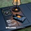 Фляги WELLHIKE из нержавеющей стали на 6 унций, изысканная бутылка для вина, бутылка для вина на открытом воздухе, 150 мл, портативная дорожная посуда для питья