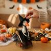 Wizard Hat Tulle Skirt Goose Witch Dress Up Costume Porch Goose Witch Scene Prop  Yard Decoration