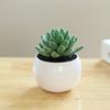 Fake Potted Plant Weather Resistant Photo Props Wide Application Excellent Mini Succulents Desk Office Potted Home Accessories