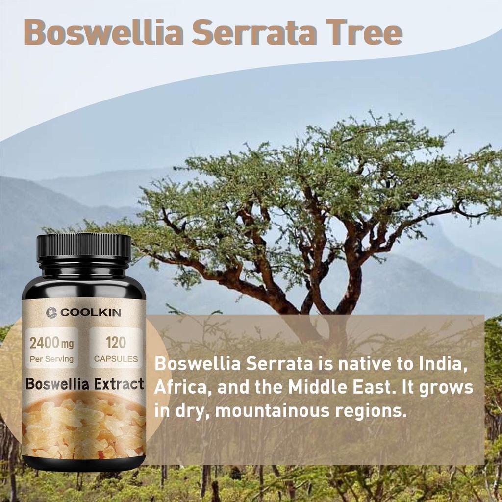 Boswellia Extract - Turmeric,Tart Cherry - Healthy Joints and Cartilage Function