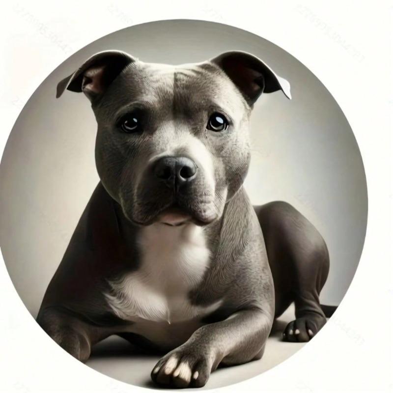 Винтажное Металлическое Настенное Искусство Стаффордширский Бультерьер Юмористический Подарок Декор для Дома Сада Бара