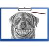 Acocony 11x17 Clipboard Landscape with Ruler Extra Large Clipboard Low Profile Clip 11 x 17 Clipping Board Plastic Blue Pack of 1
