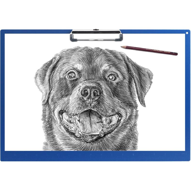 Acocony 11x17 Clipboard Landscape with Ruler Extra Large Clipboard Low Profile Clip 11 x 17 Clipping Board Plastic Blue Pack of 1