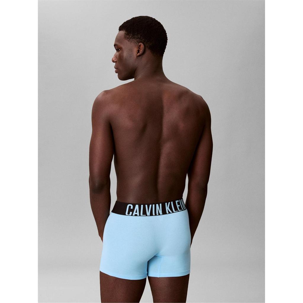 Calvin Klein Мужские боксеры (Пакет из 3)