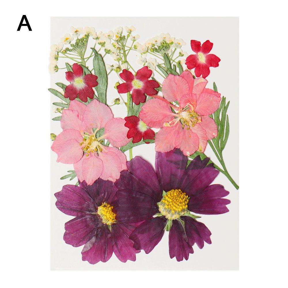 Filling Materials Jewelry Making Beauty Decal Resin Filler Resin Mold Filling Flower Dried Flowers