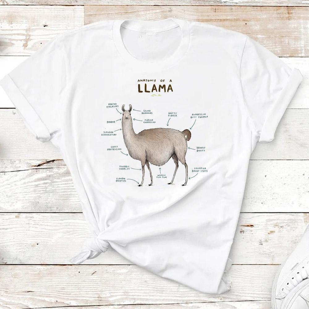 Alpaca tshirts Women streetwear tshirts girl s clothes