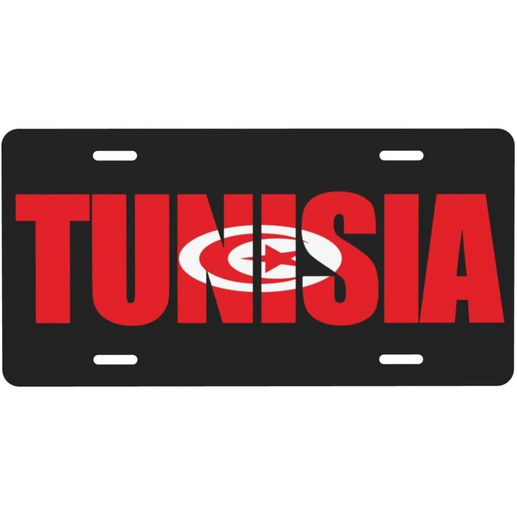 Vintage Plaque America Mexico Poland Ireland National Flags License Plates Metal Tin Signs Garage Bar Pubs Clubs Home Wall Decor