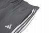 Y5569 adidas tiro 23 women's sweatpants SPORTS TRACKSUITS