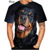 Design Cute Pet Dog Rottweiler 3D Print T-shirt Funny Stylish Mens and Womens Casual Short Sleeves