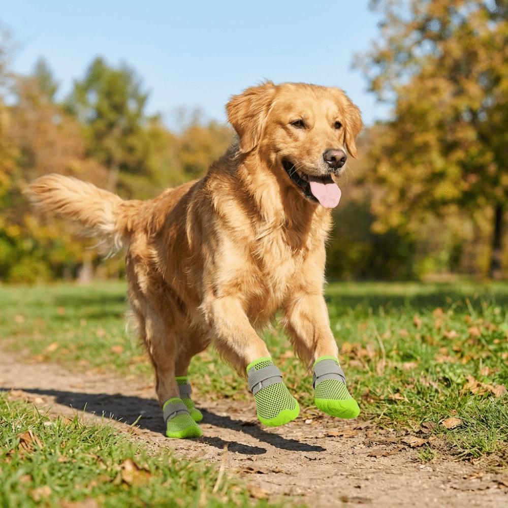 Breathable Dog Mesh Shoes Soft Summer Dog Shoes Anti Slip Dog Shoes for 4PCS/SET Spring Summer