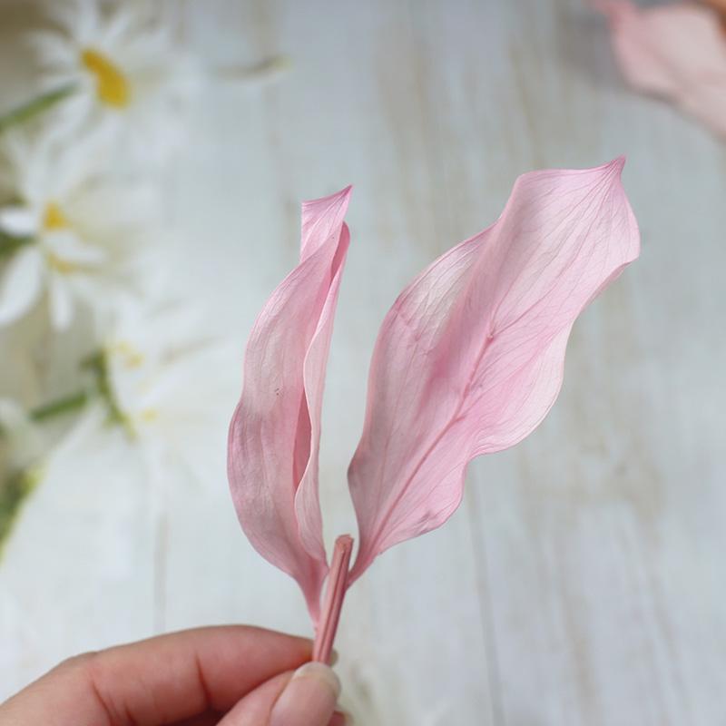 DIY Floral Art Ornament: Preserved Tangerine & Fishtail Leaf, Lily, Bamboo Dried Flowers – Ikebana Photo Prop for Home Décor.