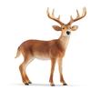 Фигурка Schleich Дикая природа Олень 14818 Белохвостый (мужчина)