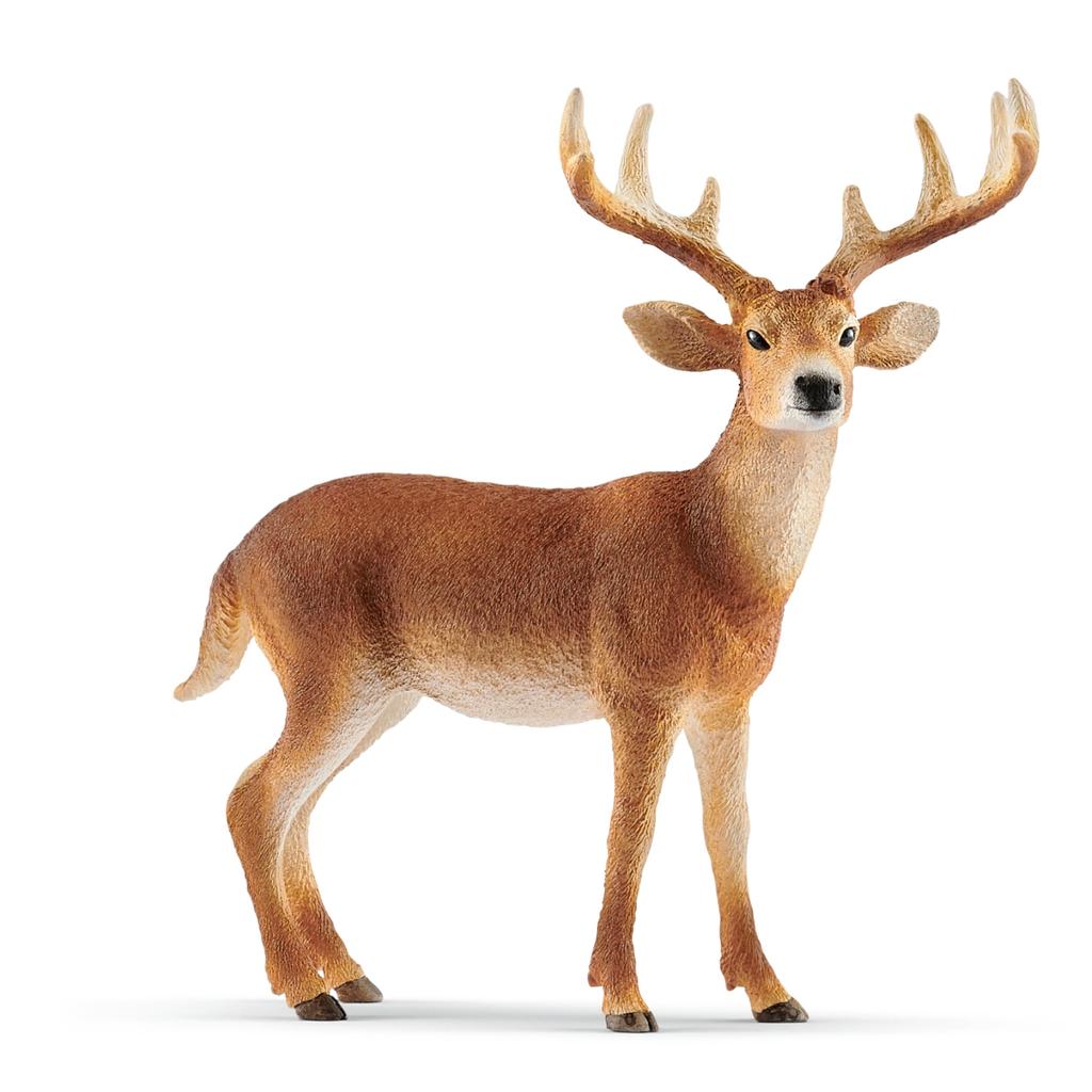 Schleich Wildlife Deer Ages Realistic Animal Toy 14818 White-tailed (Male) Figurine, 3+,