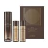 True Mushroom LX Concentrate Essence Special Set, 1 Piece