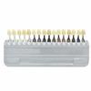 PochiDen Dental Whitening Shade Guide, 16 Colors, 3D Dental Model Board