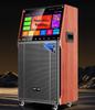 SA-255 Домашняя KTV Караоке Система