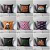 Decorative Home Pillow Case Cushion Covers40x40cm 50x50 60x60cm Modern Living Room Sofa Bed Halloween Fear Pumpkin 45*45 Fall