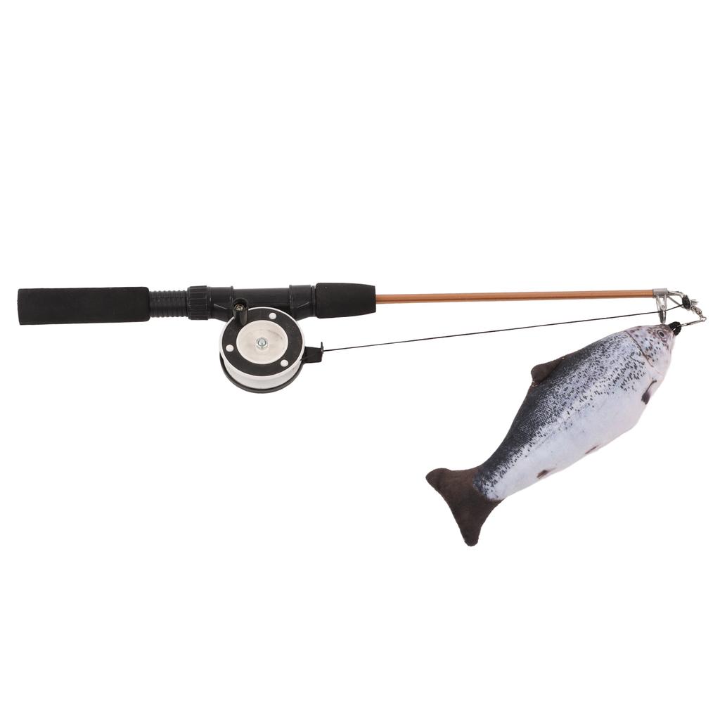 Retractable Cat Teaser Wand Toy Interactive Fishing Rod with Simulation Fish for Cats(Salmon