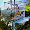 Bigger Space Inverted Aquarium Acrylic Fish Tower Aquarium Decor Fish Elevator  Fish Tank