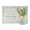 Celebrations The Cottage Garden Mum Plaque And Jar Set