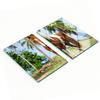 Tempered Multifunctional Decorative Glass Boards Pinto Horse 2x40x52 Cm