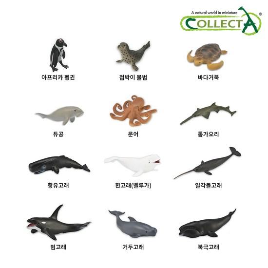 Collecta Mini Marine Animal Figures 12-piece Set No. 2, Popular Toys In Korea