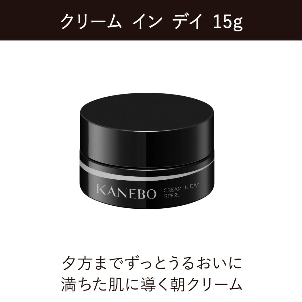Kanebo Lively Skin Wear Kit Limited Edition A Ocher B [Тональная основа]