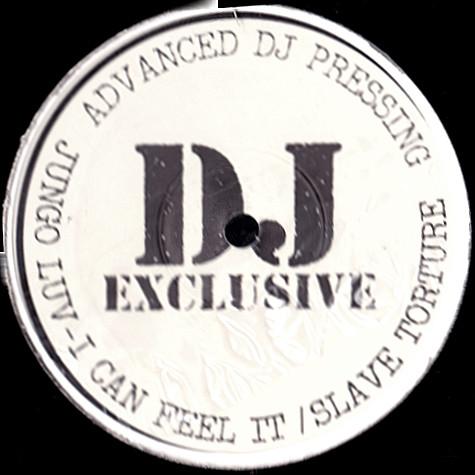 12-дюймовая пластинка JUNGOLUV - I Can Feel It / Slave Torture XDJ005 DJ Эксклюзив 1994 США Танцевальная и Электронная Музыка Б/У