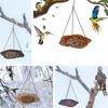 Кормушки для птиц с прочным крючком и цепью Кормушки для птиц Кормушки для колибри Большая емкость Для использования на открытом воздухе