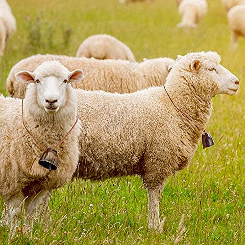 Stuurvnee 10 Pieces Small Brass Bells for Cows, Horses, and Sheep, Retro Copper Bells for Horses and Sheep, Cowbell Noise Makers