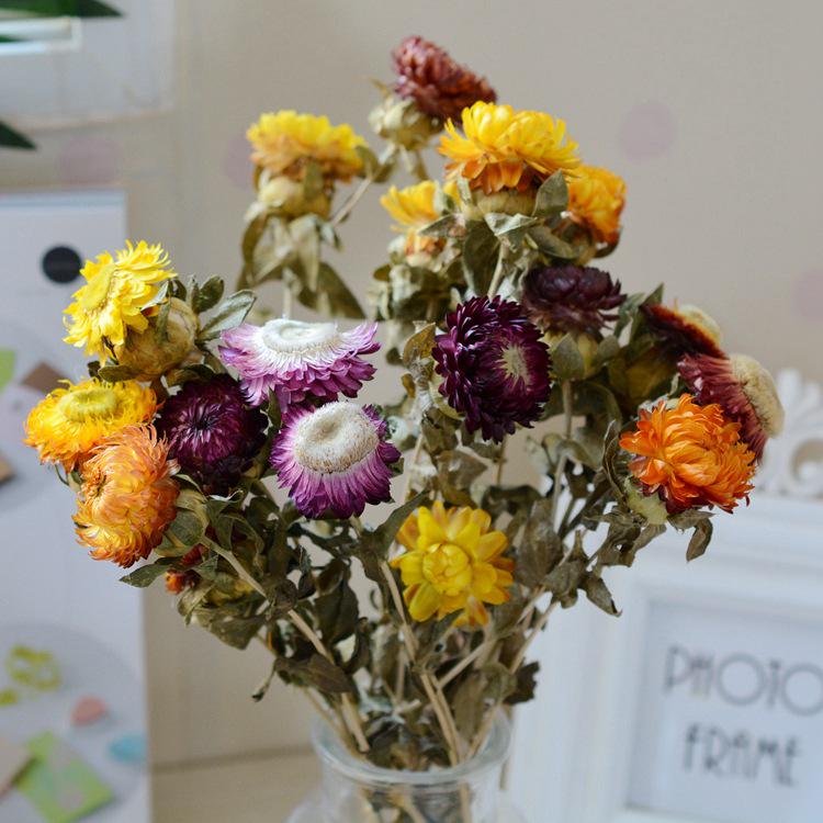 Seven-Color Chrysanthemum & Chamomile Dried Flower Bouquet