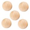 5 Pcs Wooden Balls for Jewelry Making, Art, DIY Projects, Unfinished Hardwood Decorative