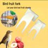 Birdcage Fruit Fork - Parrot & Myna Diet Accessory, Plastic Bird Supplies Utensil