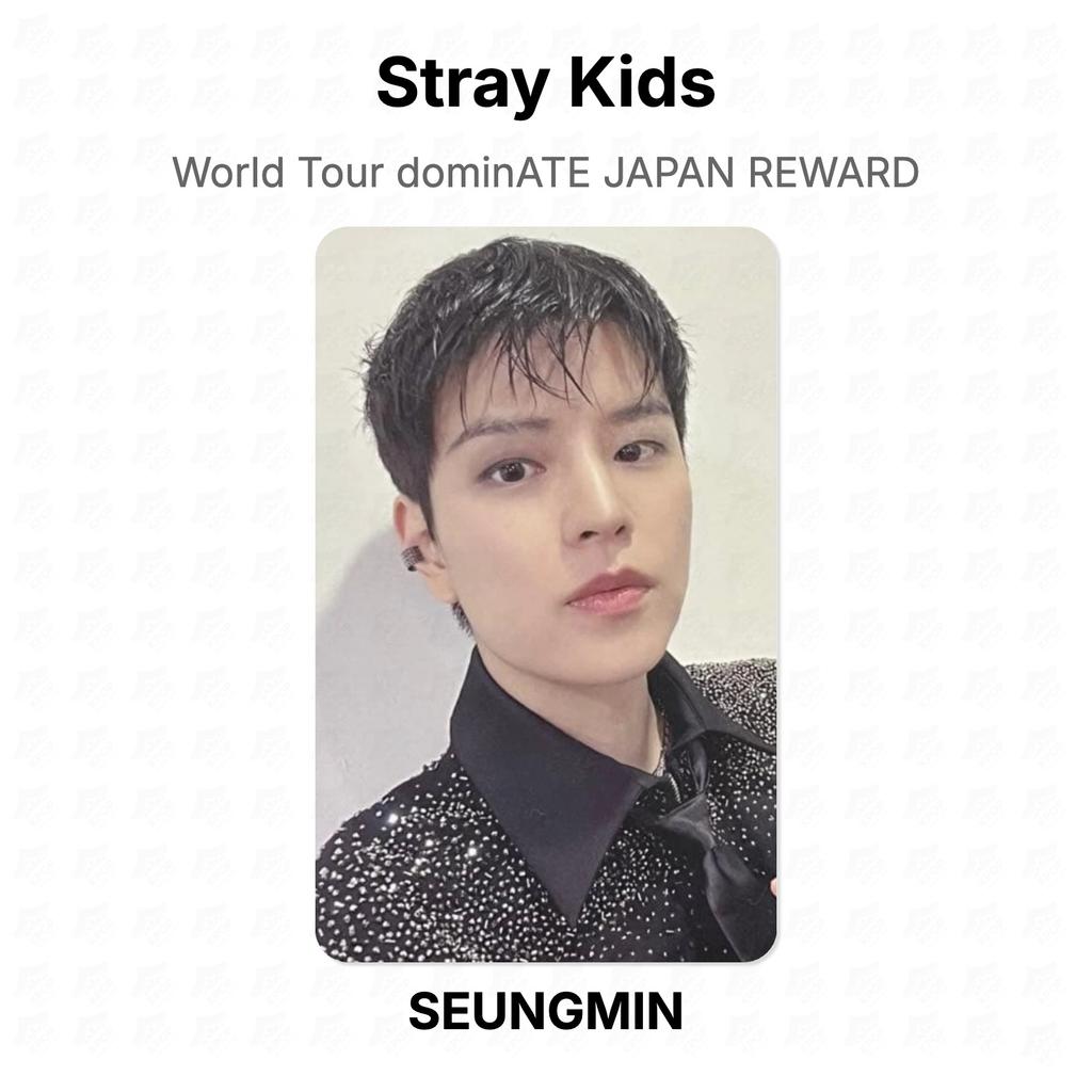 Stray Kids Мировой тур dominATE JAPAN REWARD Официальная фотокарточка