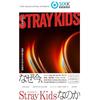 [Предзаказ] Японская книга критики [Stray Kids, Их история, которая никогда не заканчивается]