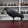 Simulation Black Crow Raven Bird Repellent Pest Control PigeonRepellent Garden Decoration Outdoor Decoracion Accessories 2025