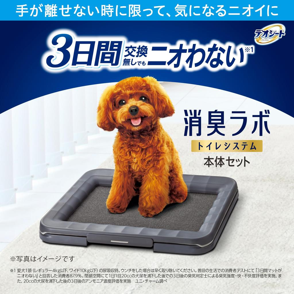 Неприрученные собаки старше 1 года, набор из 2 фильтров и коврика для лабораторного туалета для собак, широкий [для возраста] [приблизительно включено в стоимость]