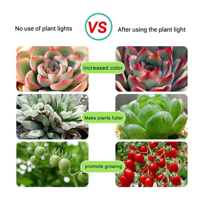 USB LED Full Spectrum Phyto Lamp USB 5V Grow Light Strip 1m 2m 3m 2835 SMD Plants Flowers LED Hydroponic Garden Plants Growing